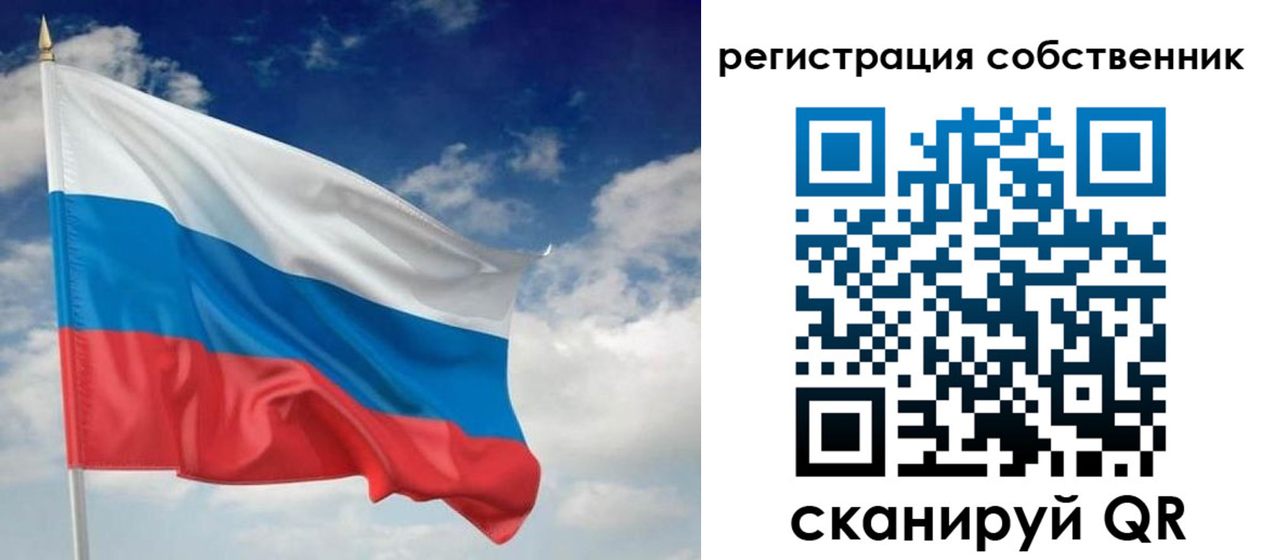 временная регистрация для школы в Сафоново
